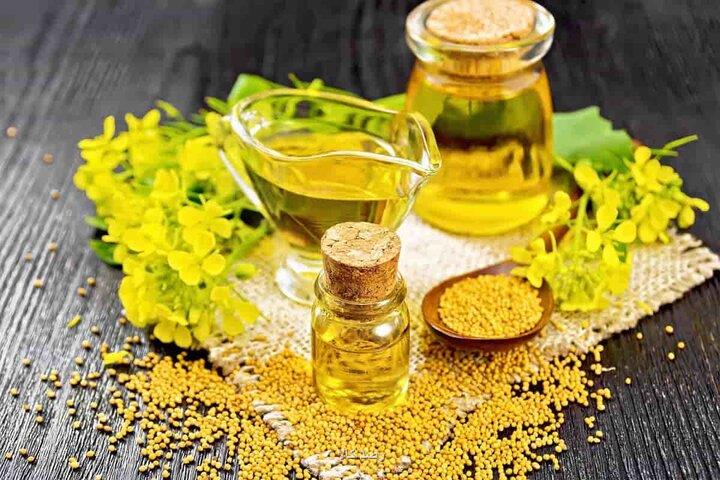 چرخش معکوس در بازار روغن کاهش واردات روغن خام و افزایش کنجاله اشتباهی استراتژیک